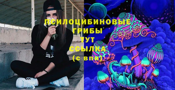 jwh Медвежьегорск