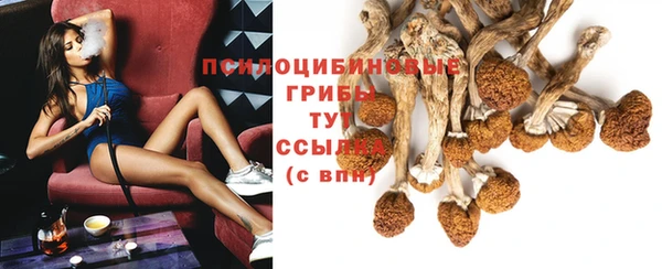jwh Медвежьегорск
