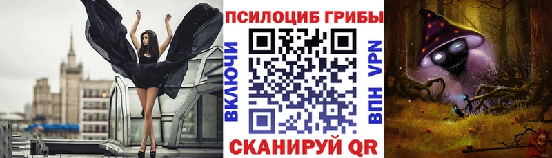 Псилоцибиновые грибы Psilocybe  Сыктывкар 